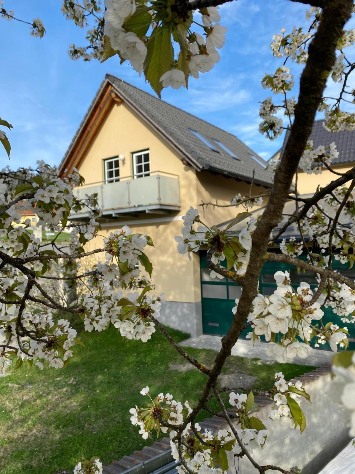 Ferienwohnung In Mariahof Neumarkt in Steiermark المظهر الخارجي الصورة